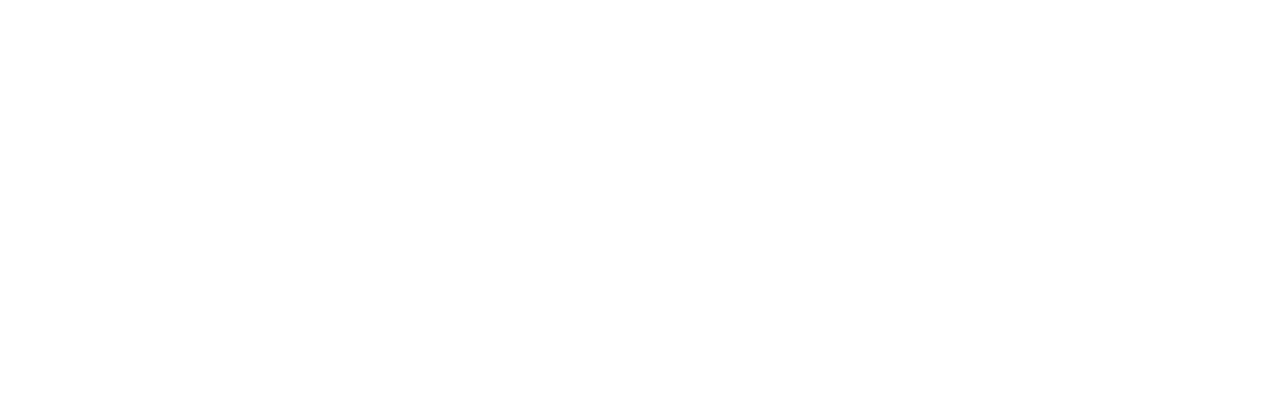 The 80/20 Institute